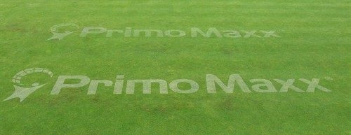 Primo Maxx Line Marking