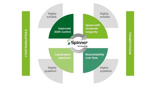 Spinner - Two actives graphic