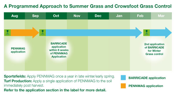 Programmed approach Summer Grass Crowsfoot Grass