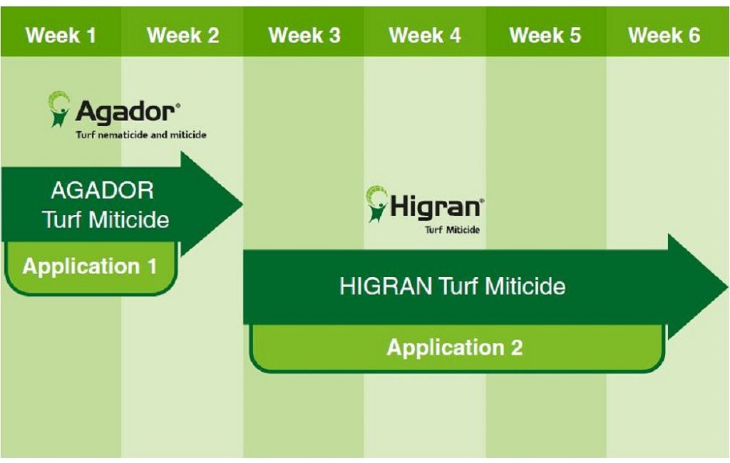 Example Syngenta base mite program to deliver population knockdown and life cycle breaking longevity, giving an effective control period of up to 6 weeks.