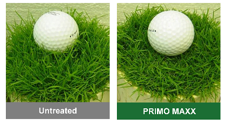 PRIMO MAXX reduced mowing